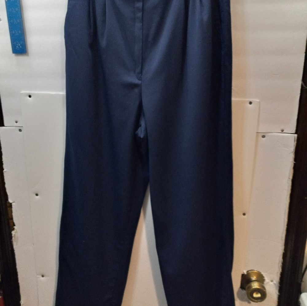 Pendleton Vintage 100% Virgin Wool Blue 10 Lined … - image 1